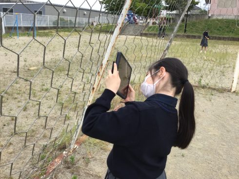 ４学年 分度器アプリを使って 郡山ザベリオ学園 小学校